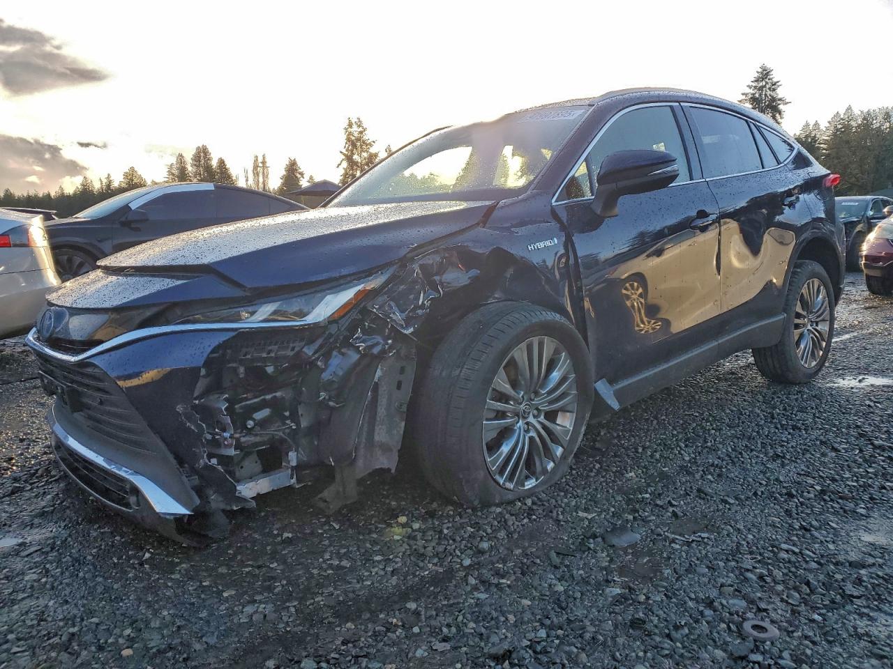 2021 TOYOTA VENZA