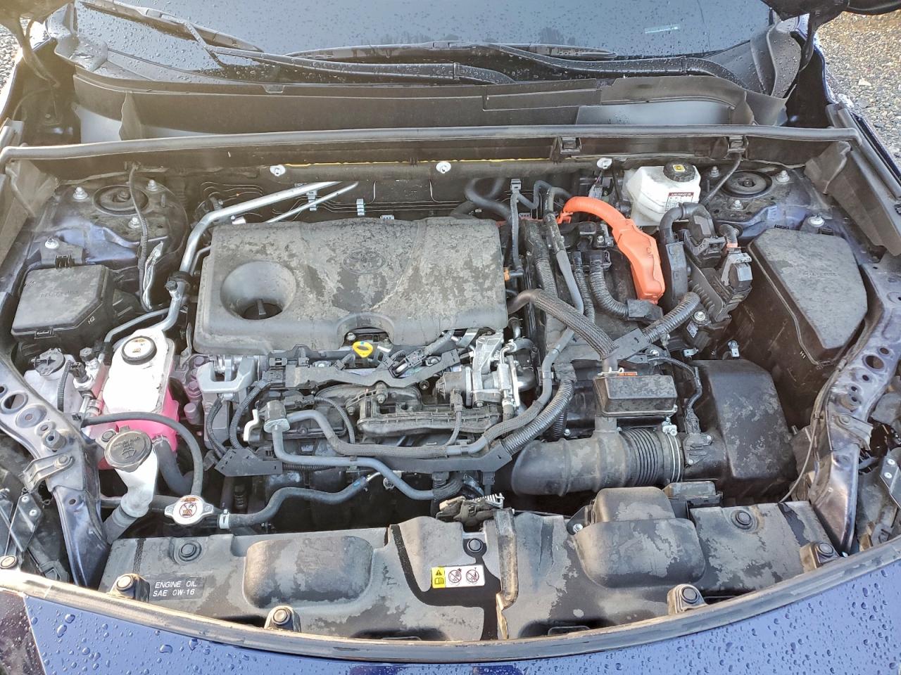 2021 TOYOTA VENZA XLE photo 12