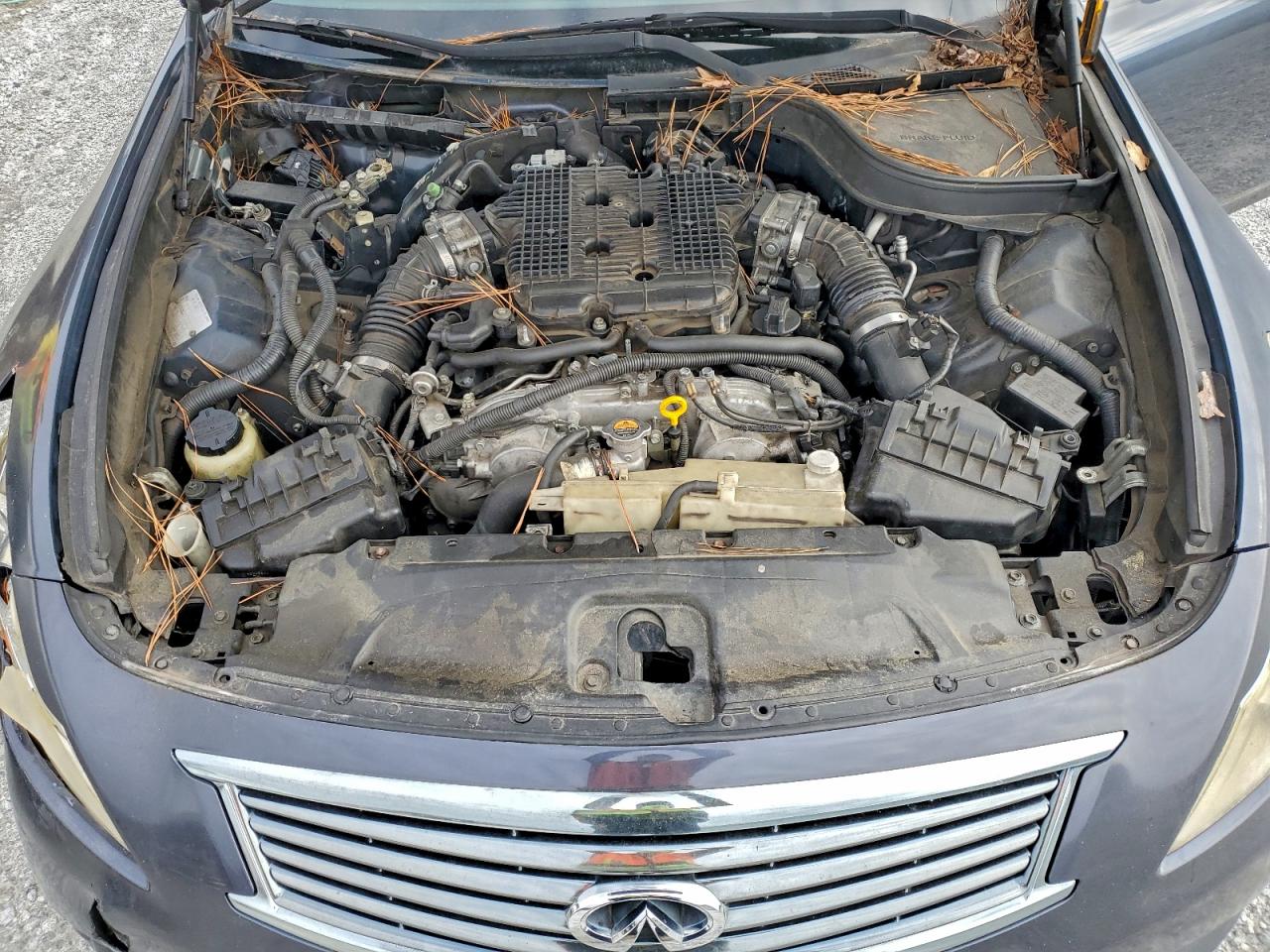 2010 INFINITI G37 photo 11
