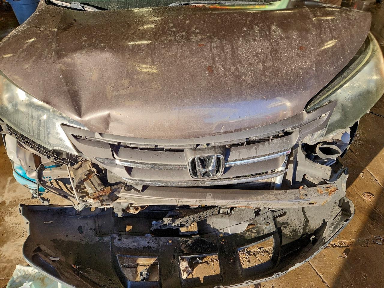 2013 HONDA CR-V LX photo 12