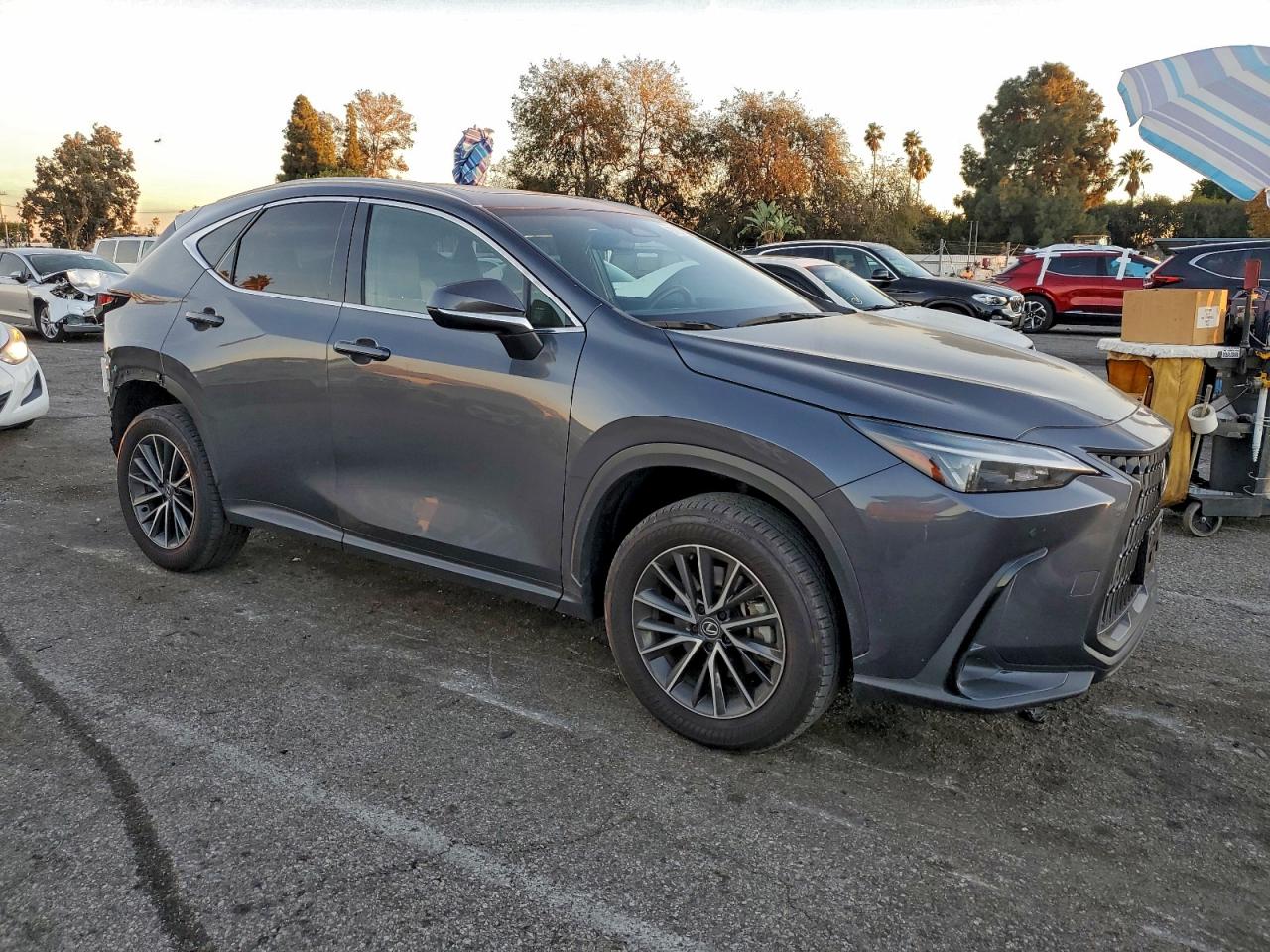 2024 LEXUS NX 350H BASE photo 4
