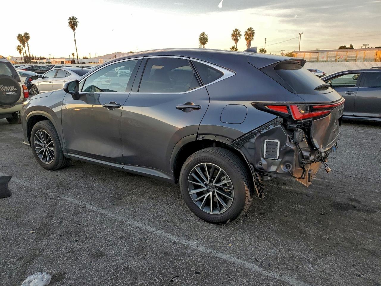 2024 LEXUS NX 350H BASE photo 2
