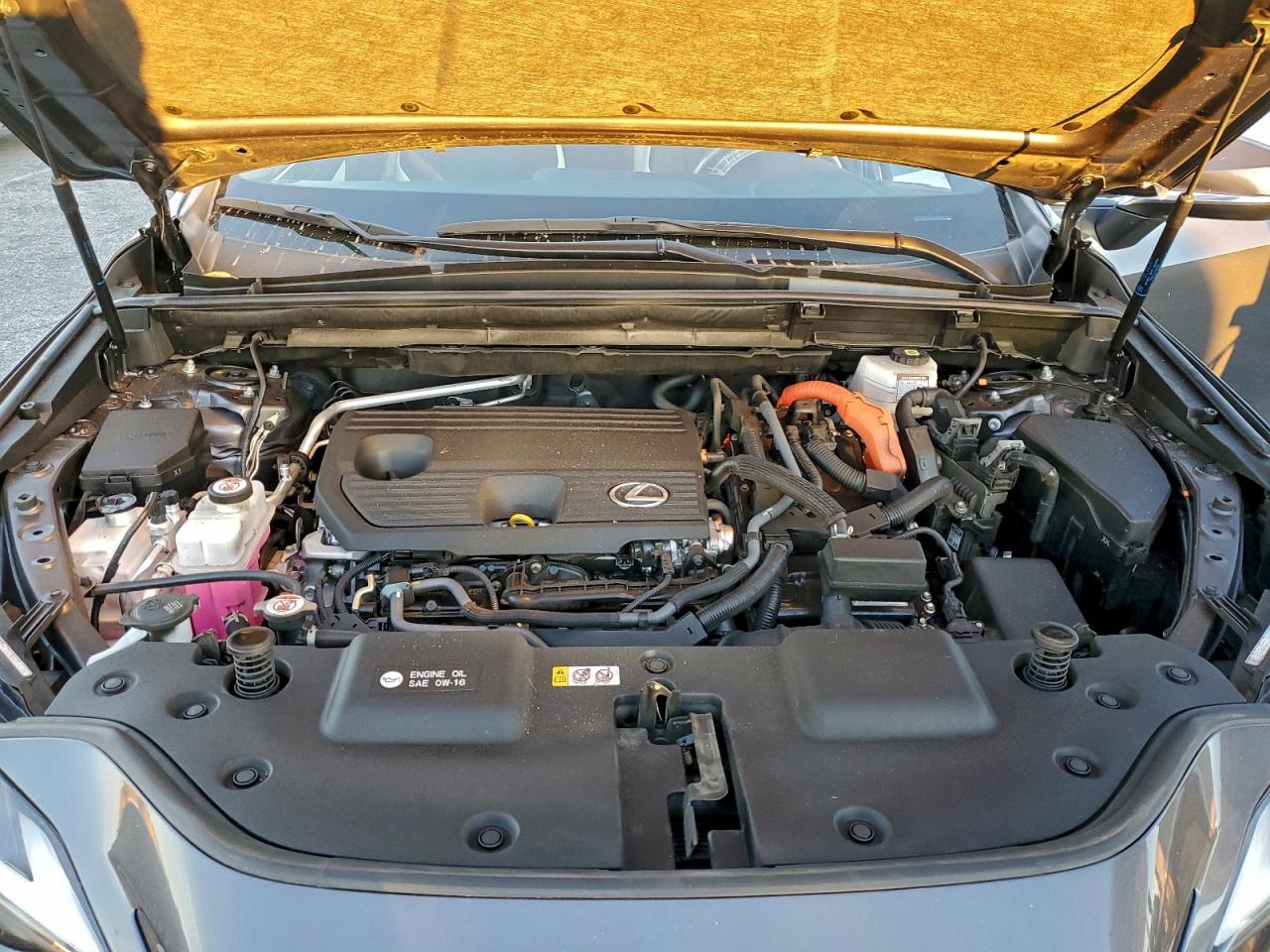 2024 LEXUS NX 350H BASE photo 12