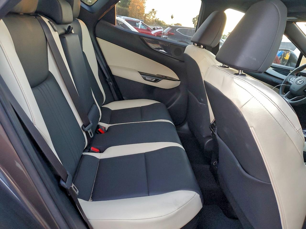 2024 LEXUS NX 350H BASE photo 11