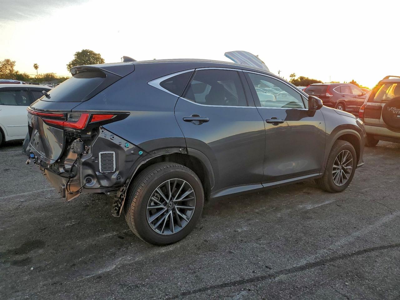 2024 LEXUS NX 350H BASE photo 3
