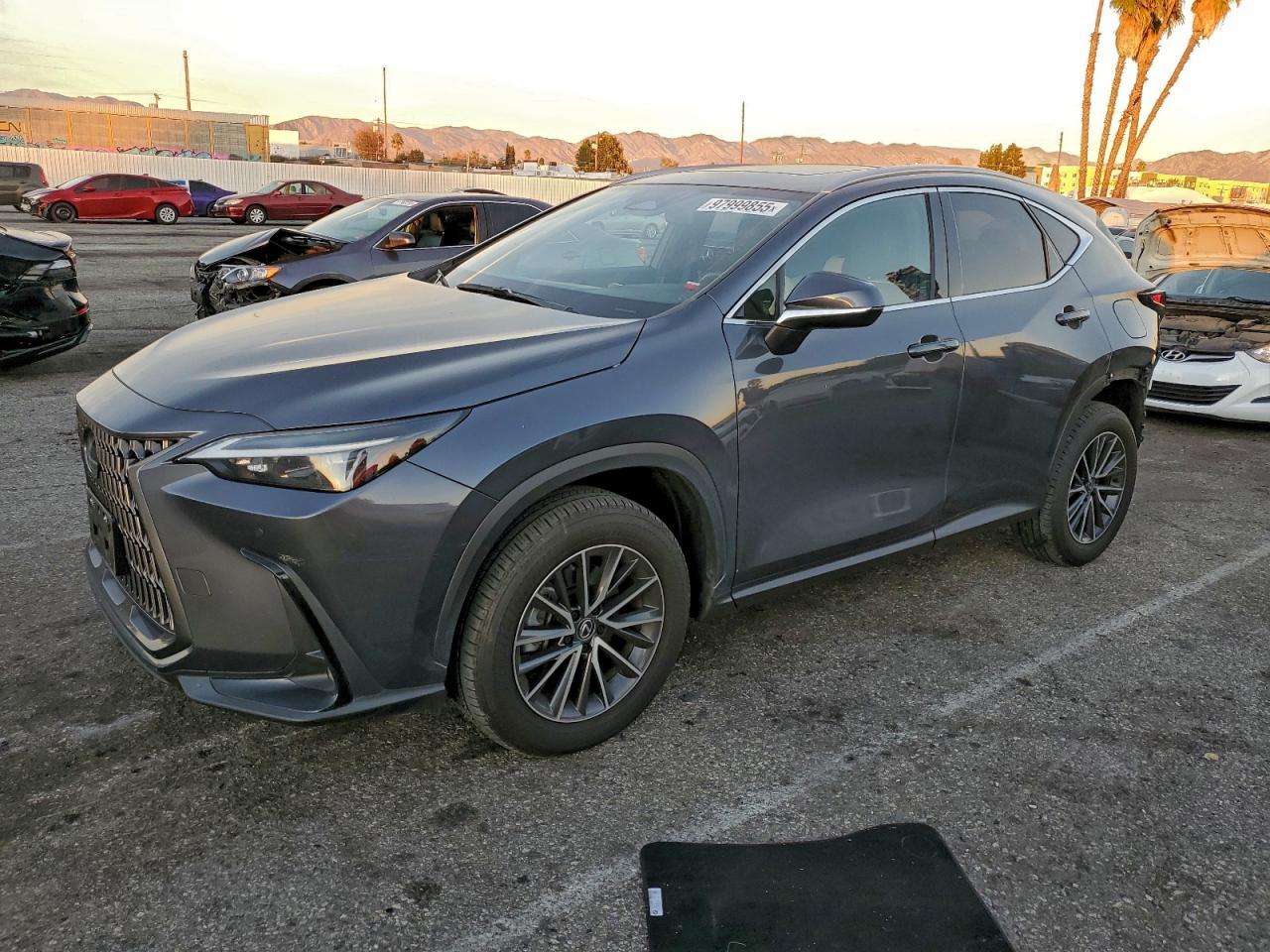 2024 LEXUS NX