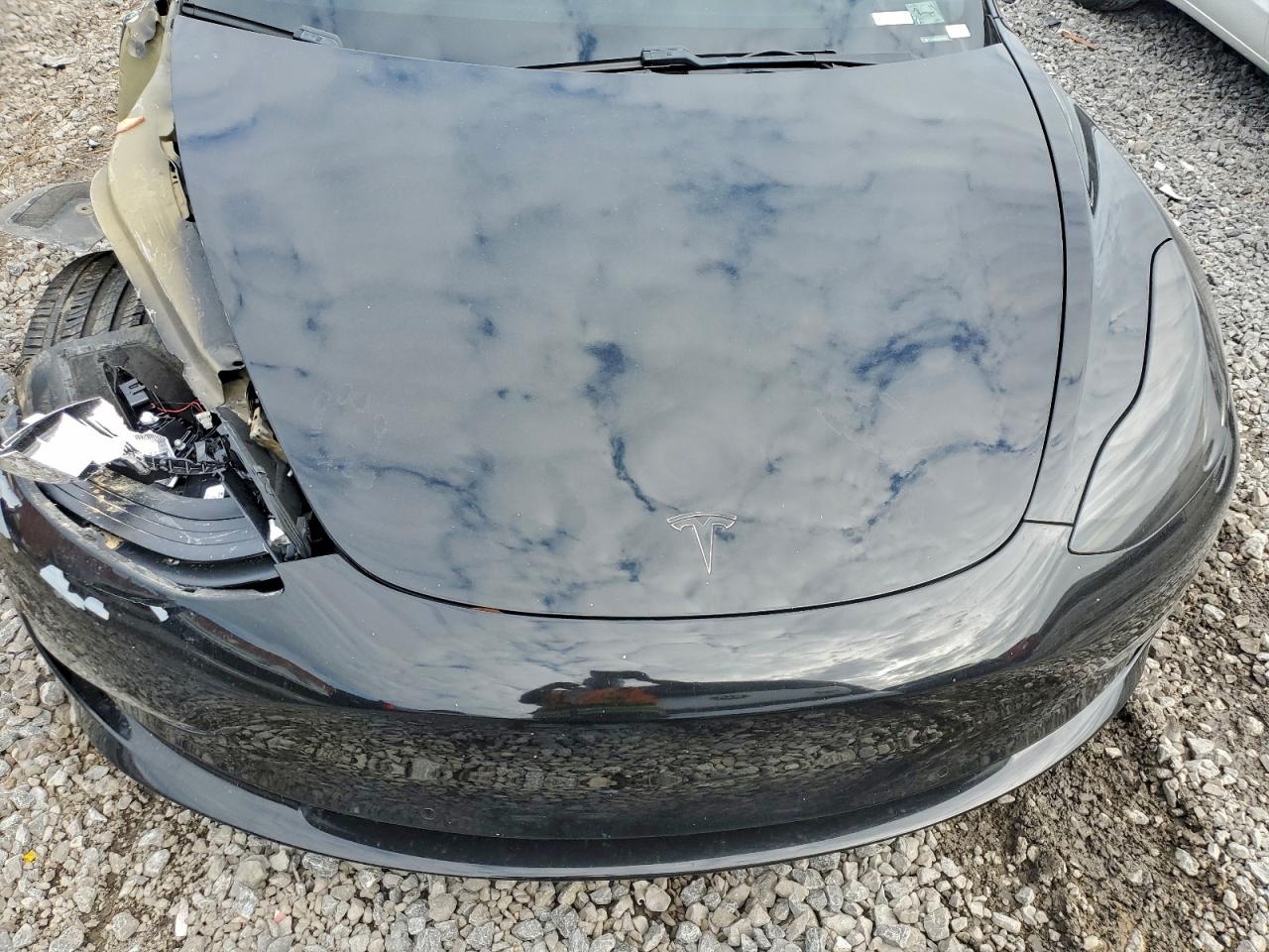 2019 TESLA MODEL 3 photo 12