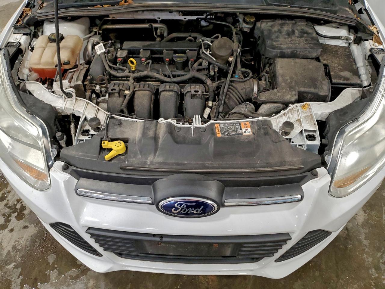 2014 FORD FOCUS SE photo 11
