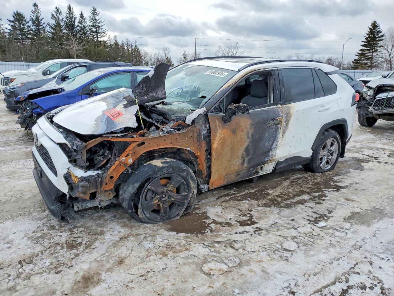 2022 TOYOTA RAV4