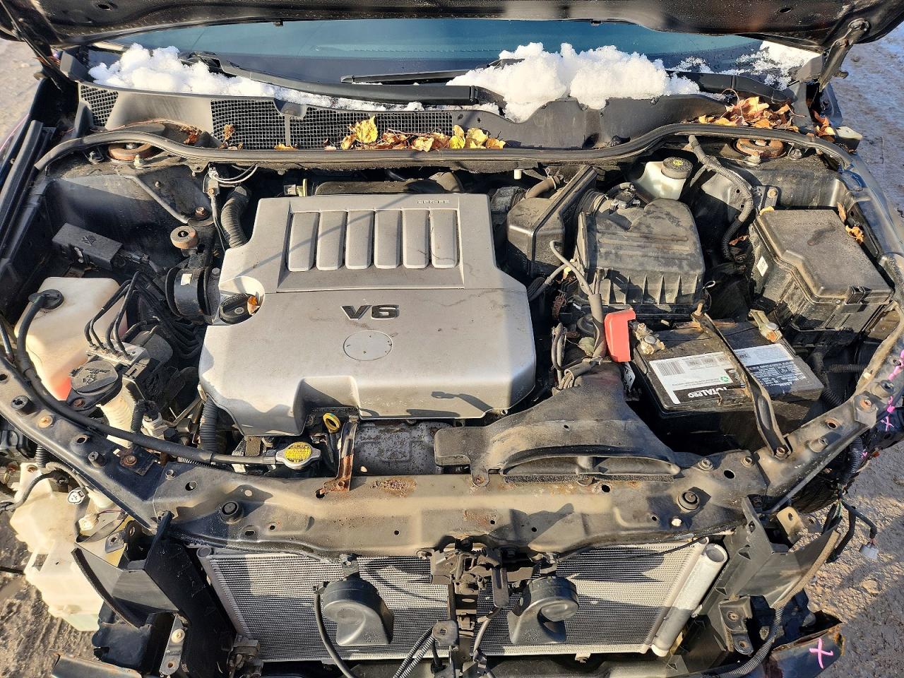 2010 TOYOTA VENZA photo 11