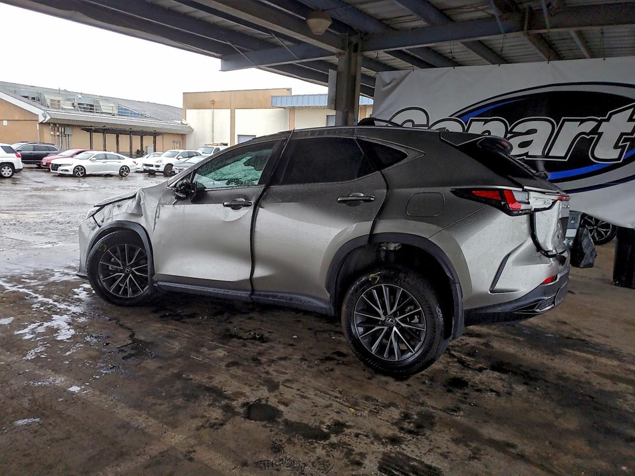 2024 LEXUS NX 250 BASE photo 2