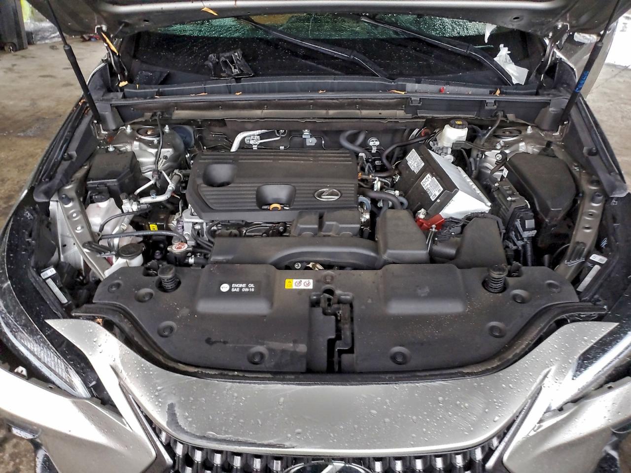 2024 LEXUS NX 250 BASE photo 11