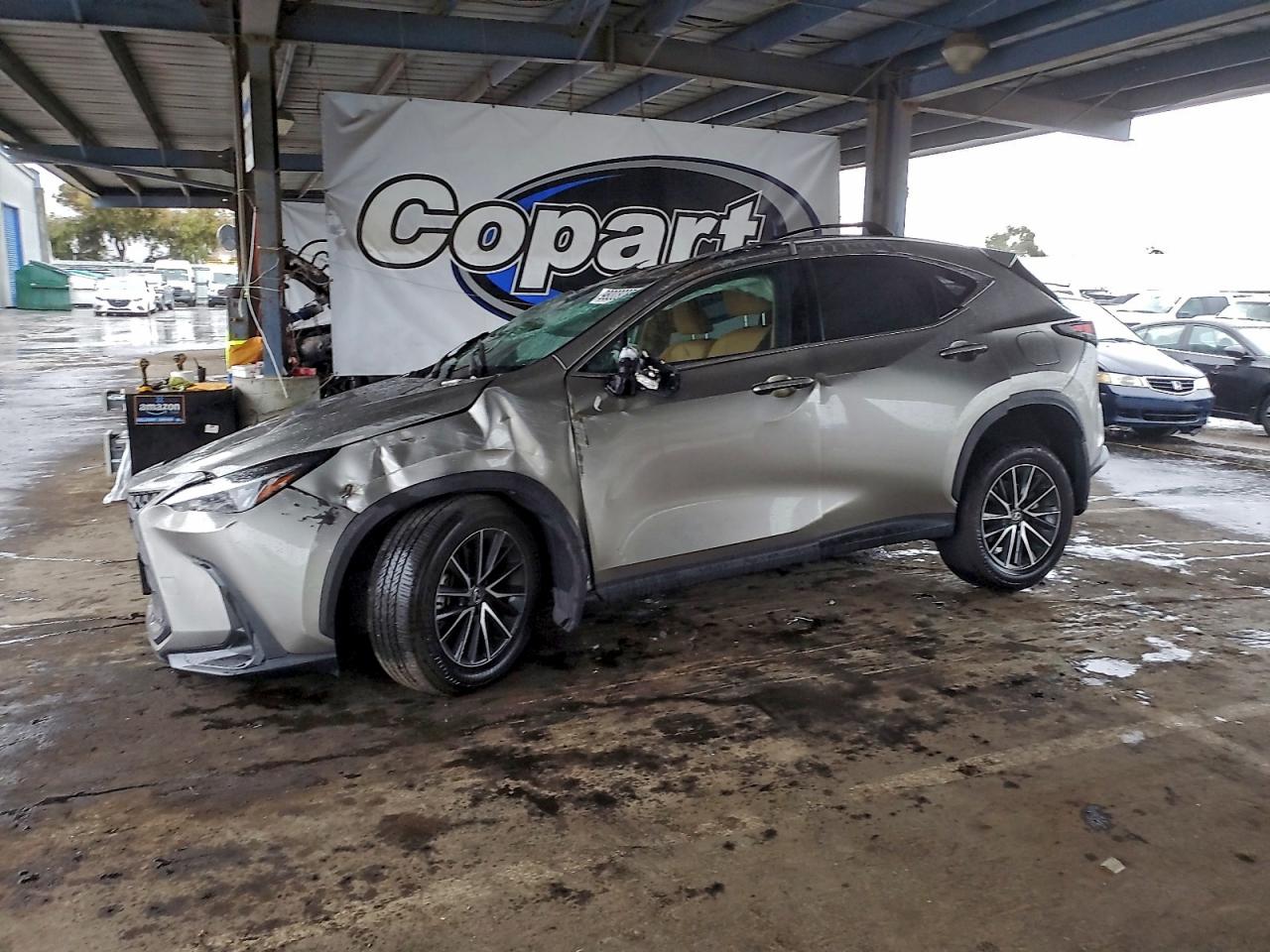 2024 LEXUS NX