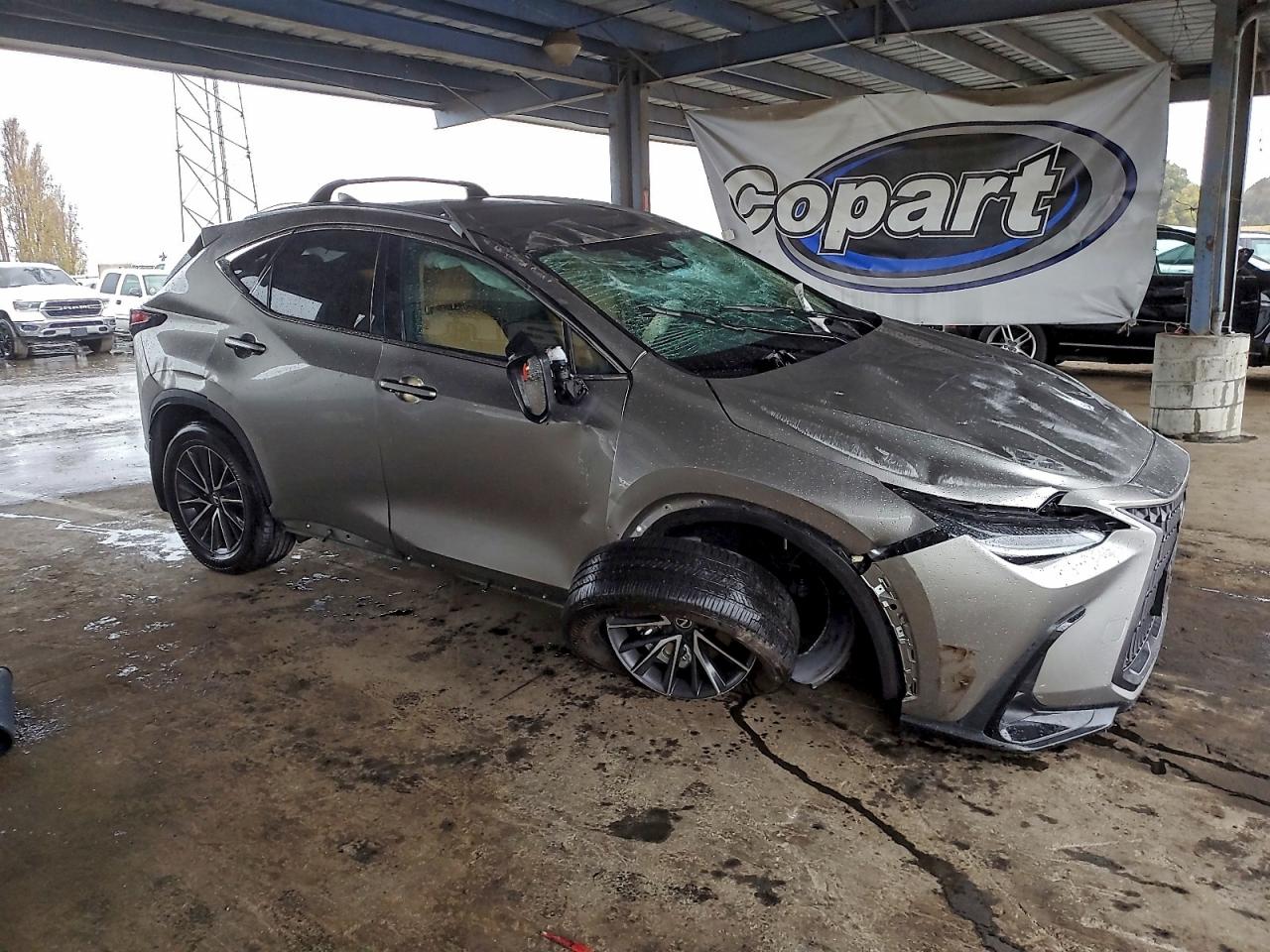 2024 LEXUS NX 250 BASE photo 4