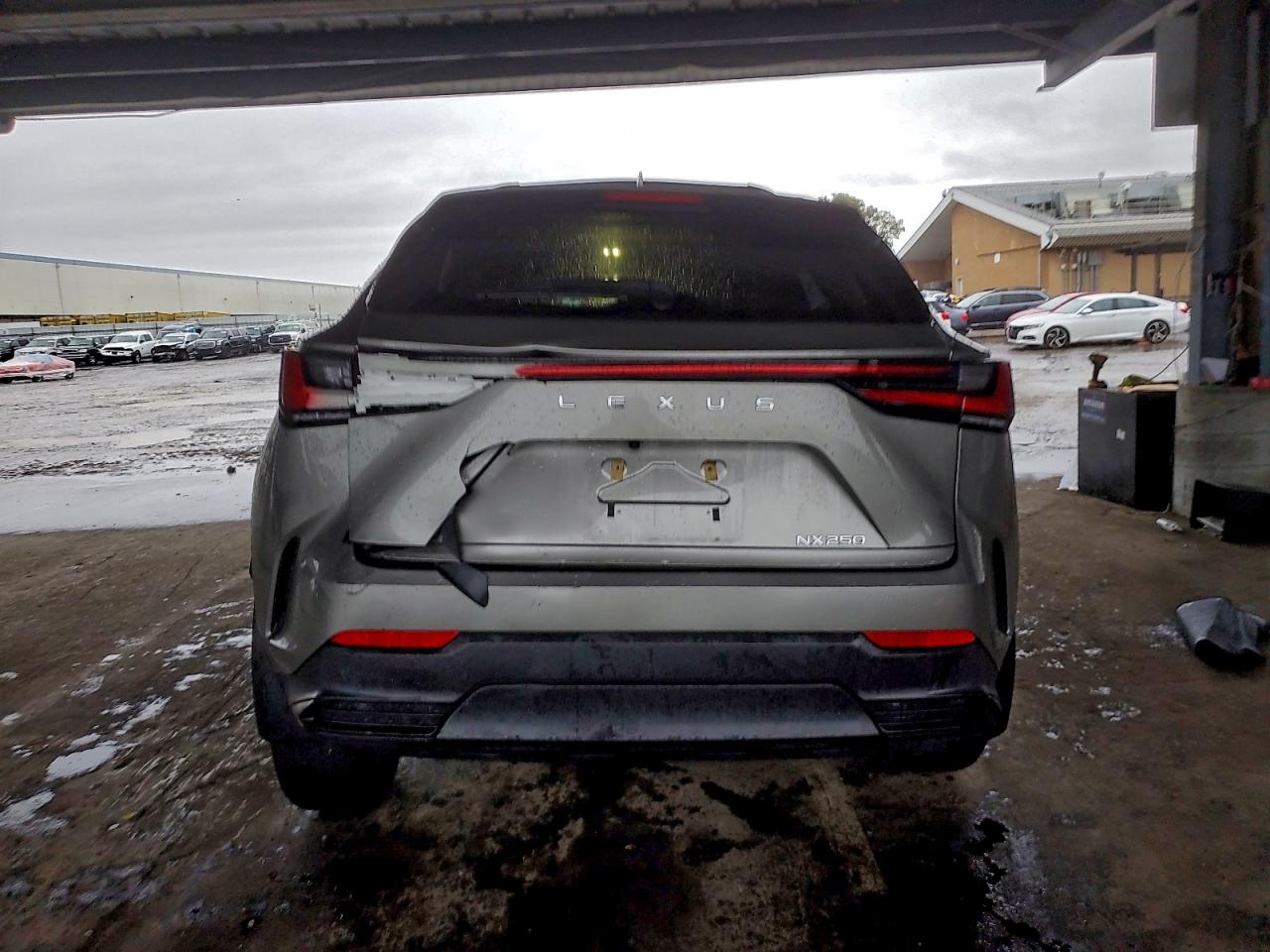 2024 LEXUS NX 250 BASE photo 6