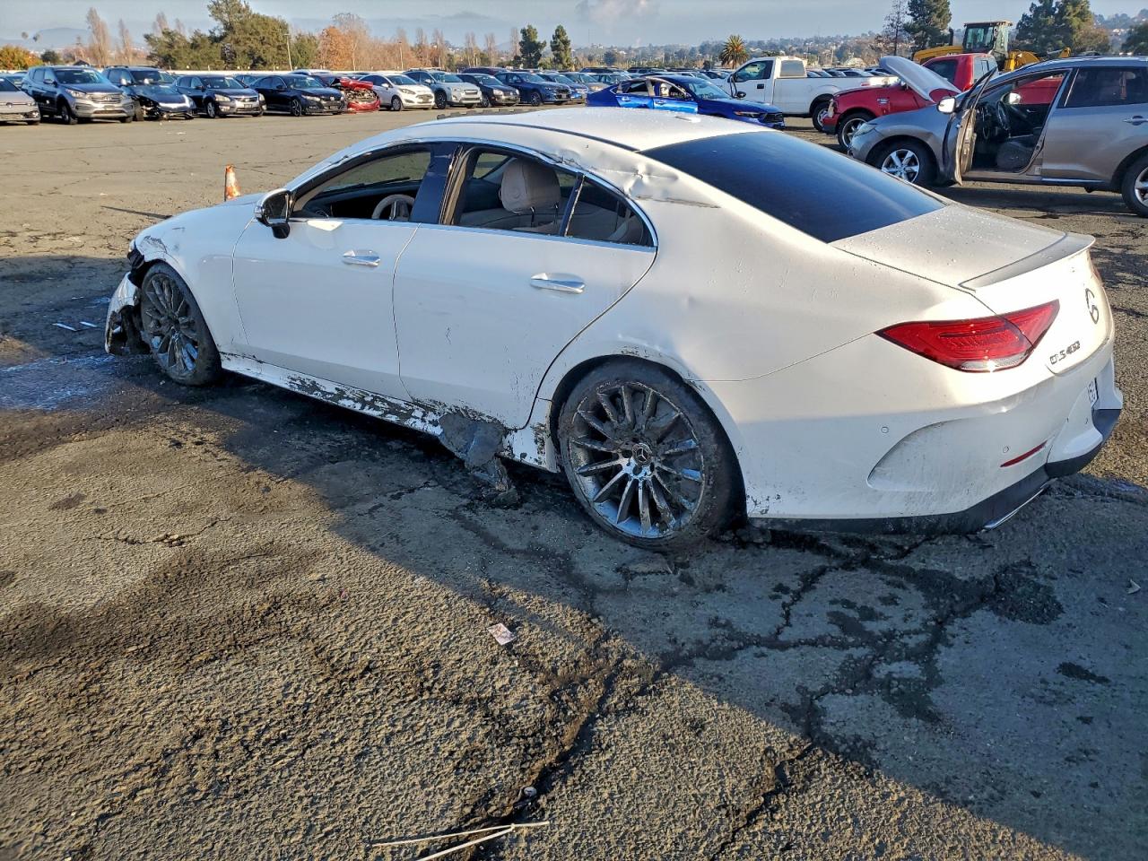 2020 MERCEDES-BENZ CLS 450 photo 2