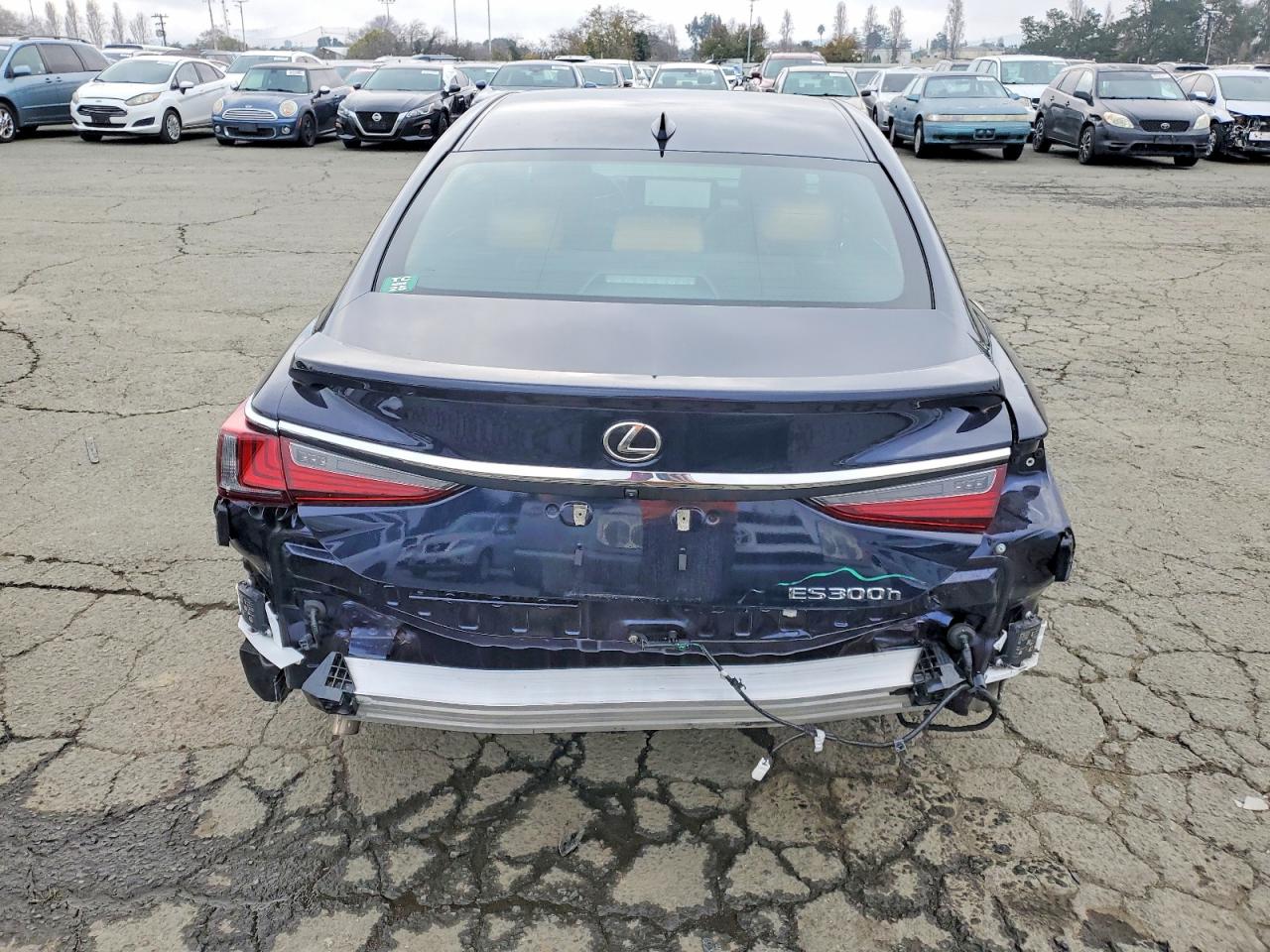 2024 LEXUS ES 300H BASE photo 6
