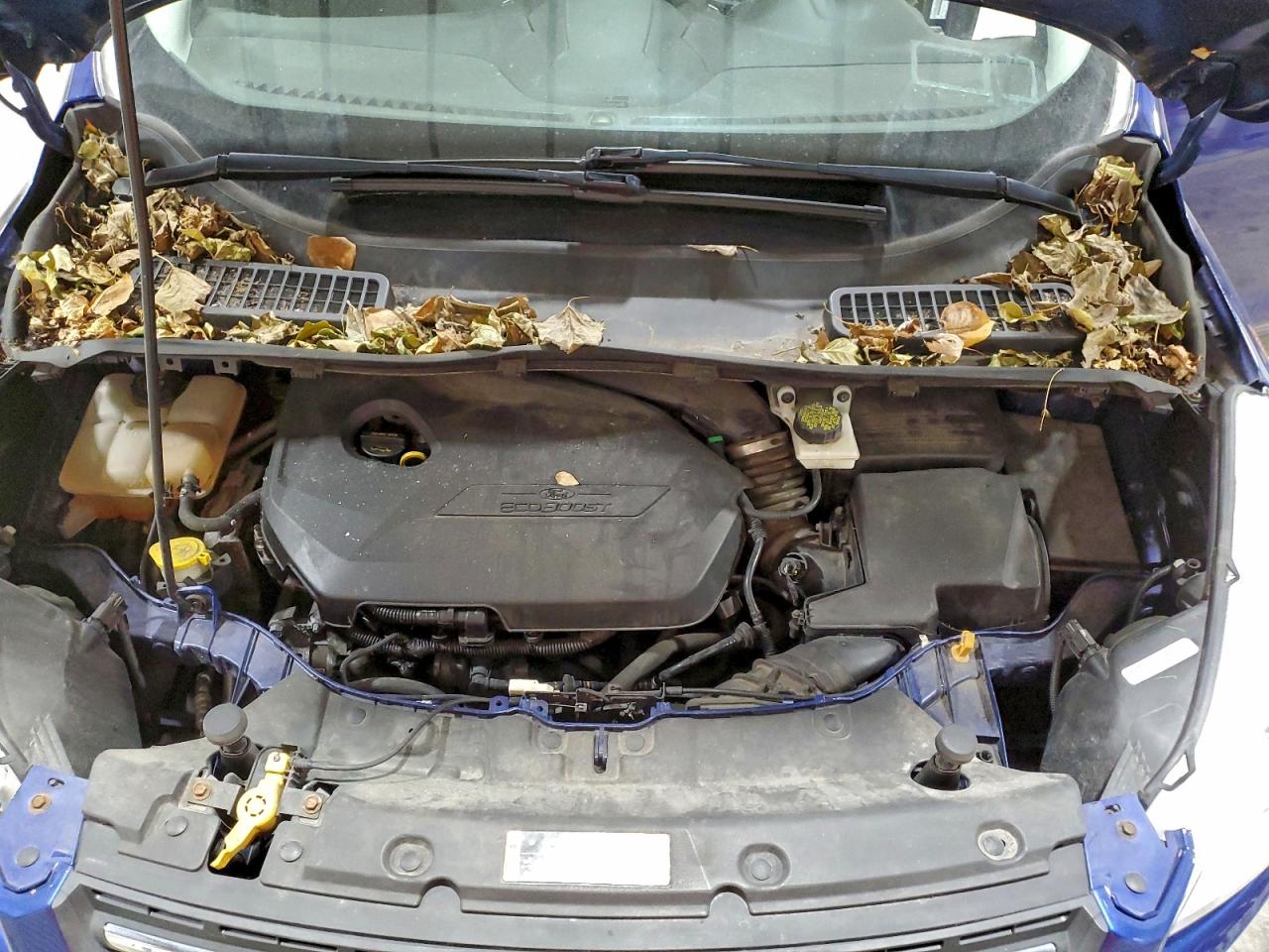 2014 FORD ESCAPE SE photo 12