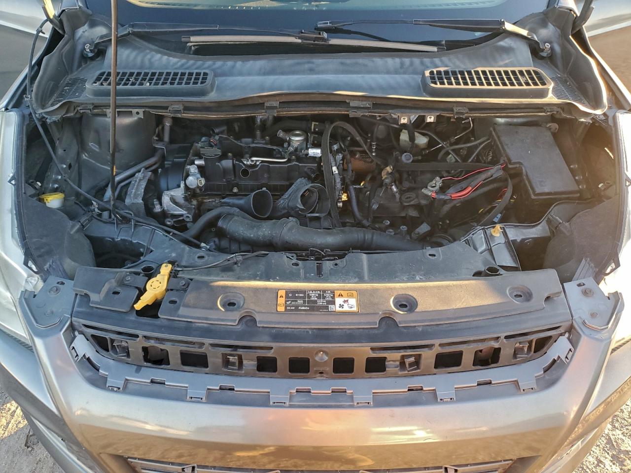2014 FORD ESCAPE SE photo 12