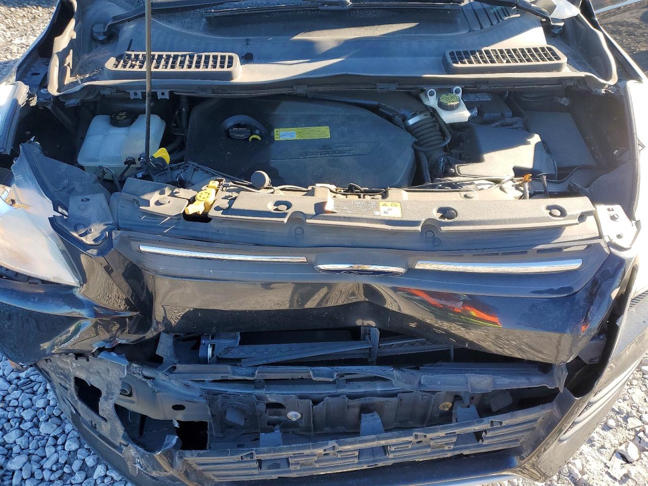 2014 FORD ESCAPE SE photo 12