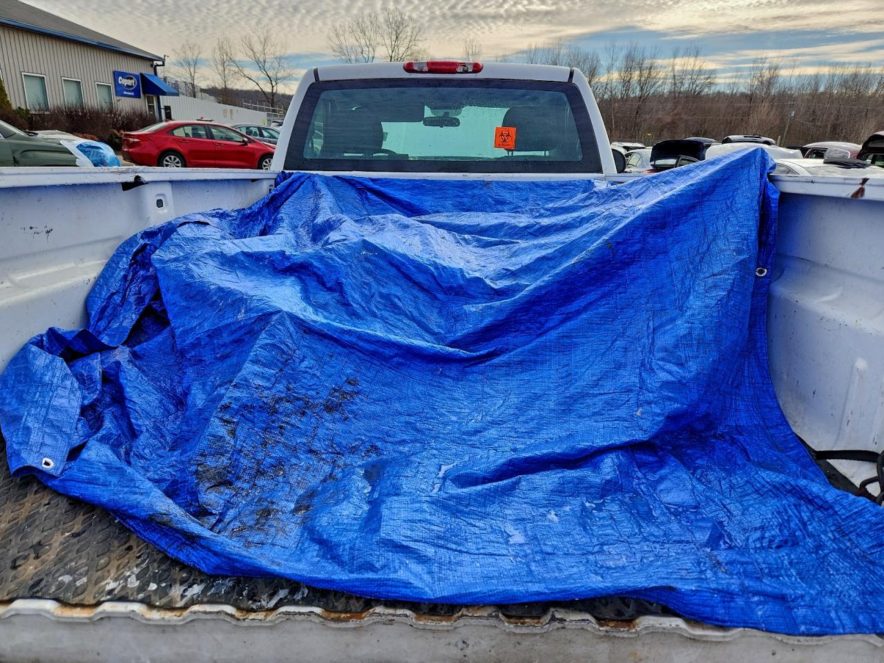 2009 CHEVROLET SILVERADO C1500 photo 10