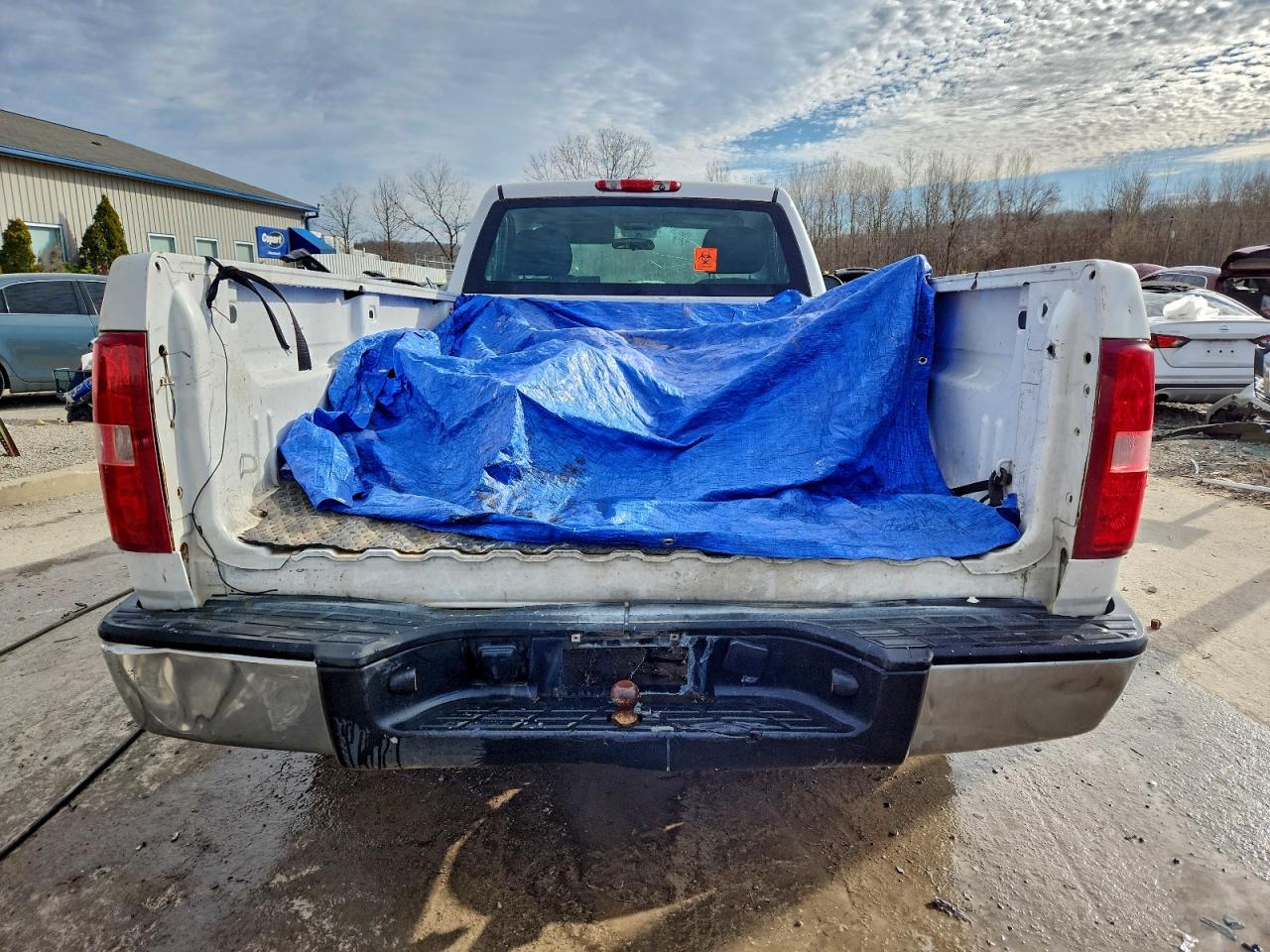 2009 CHEVROLET SILVERADO C1500 photo 6