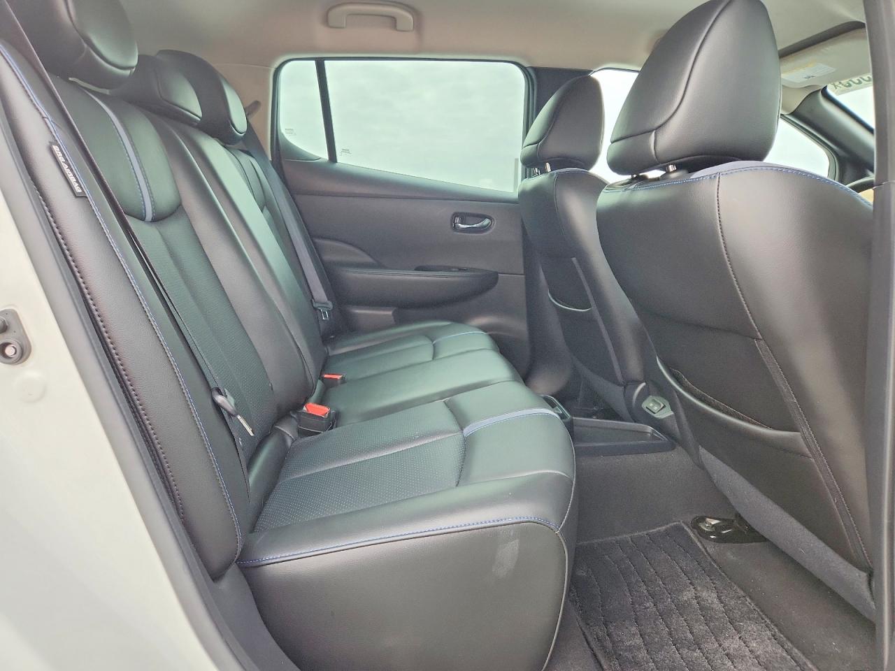 2021 NISSAN LEAF SL PLUS photo 10