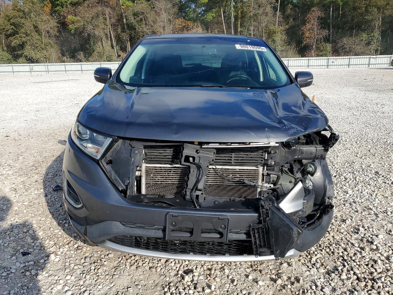 2017 FORD EDGE TITANIUM photo 5