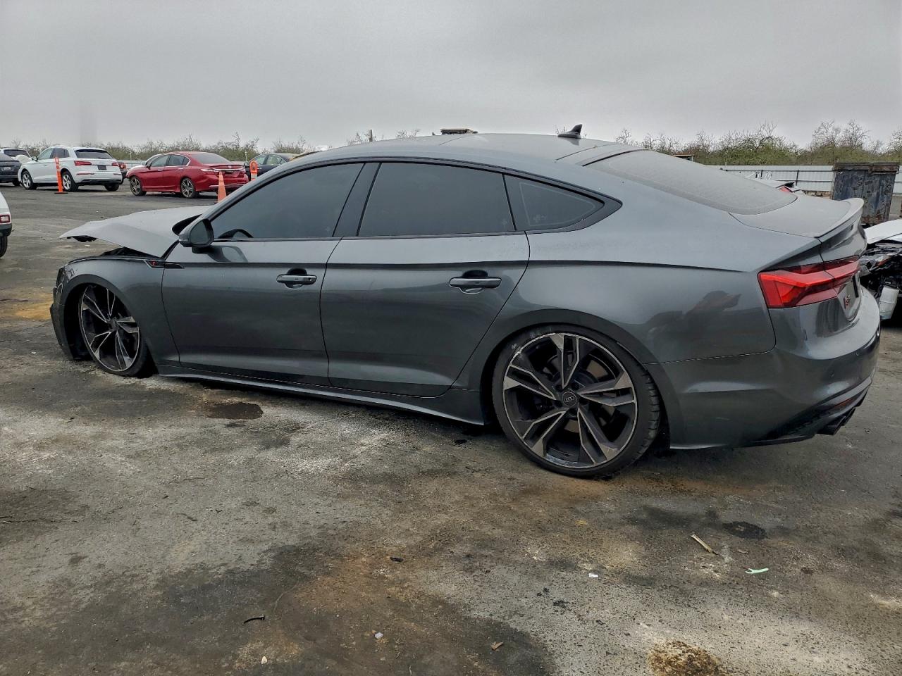 2024 AUDI S5 PREMIUM PLUS photo 3