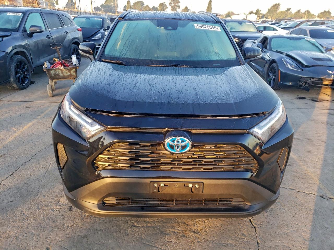 2024 TOYOTA RAV4 XLE photo 5