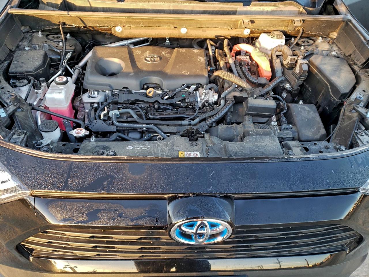 2024 TOYOTA RAV4 XLE photo 12