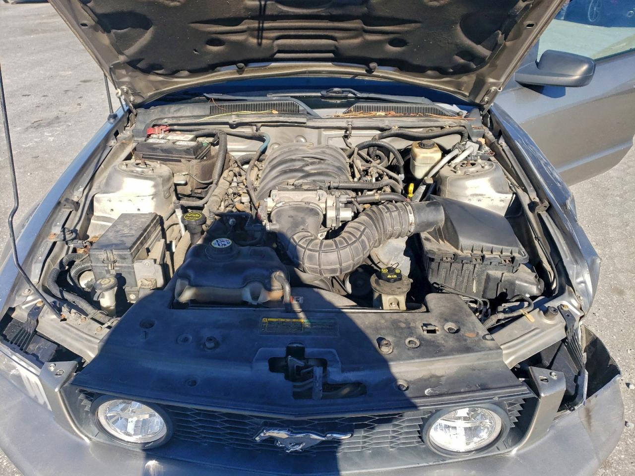 2008 FORD MUSTANG GT photo 11