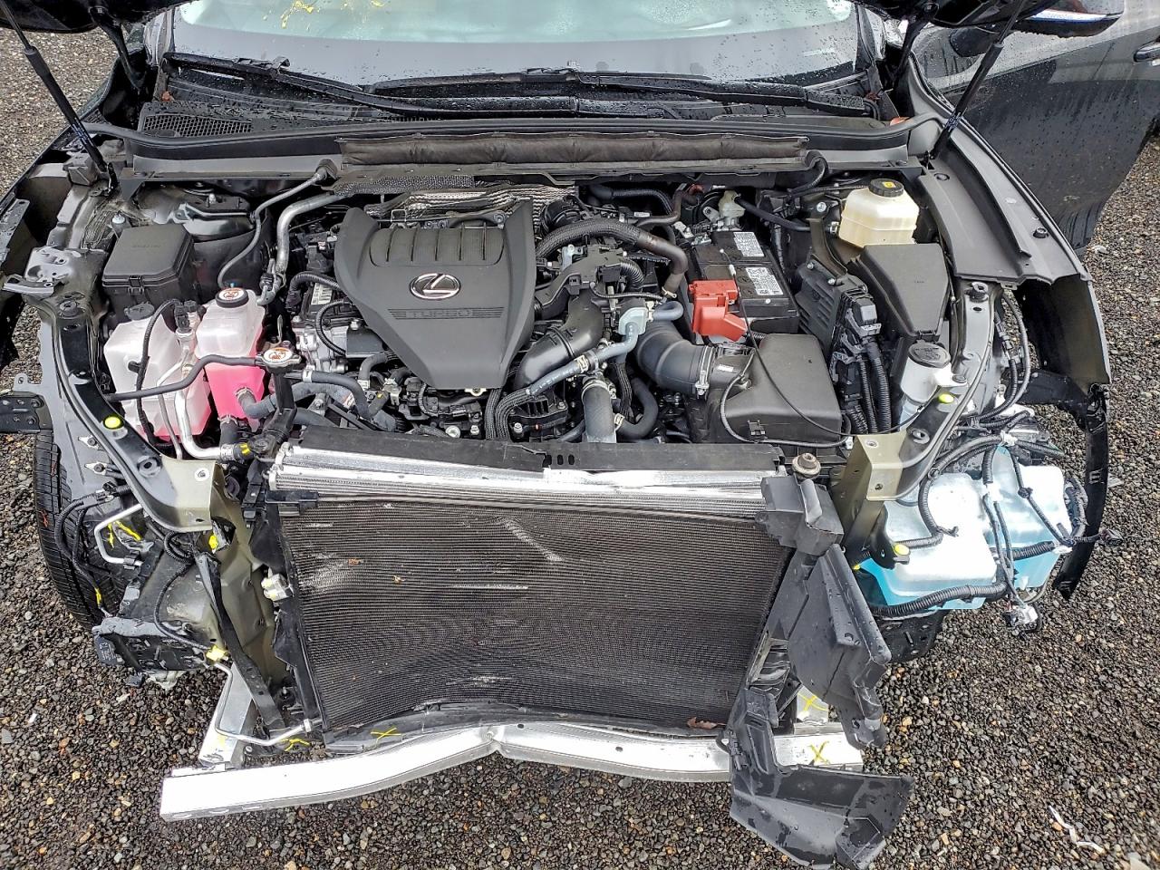 2025 LEXUS RX 350 BASE photo 12