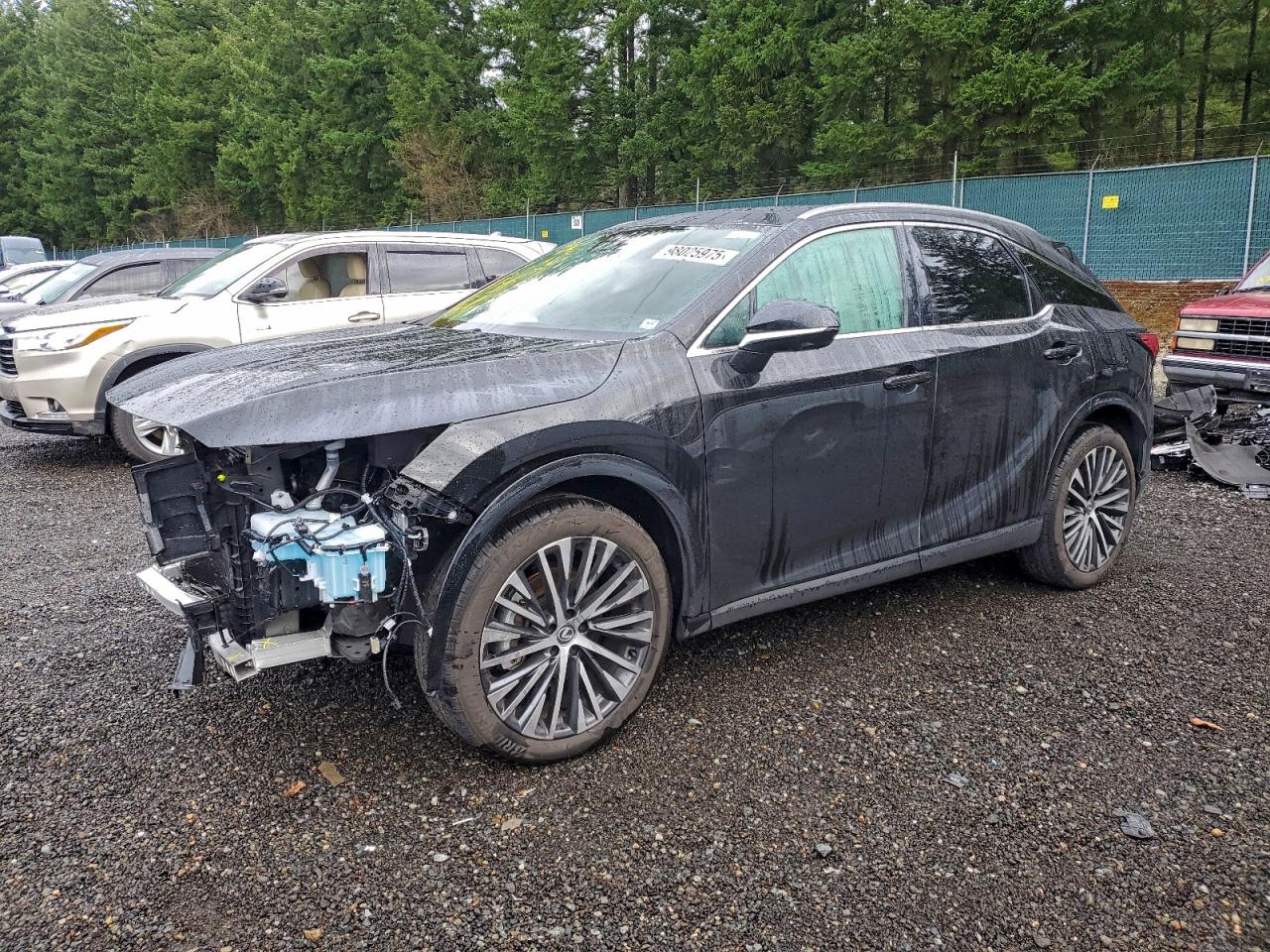 2025 LEXUS RX