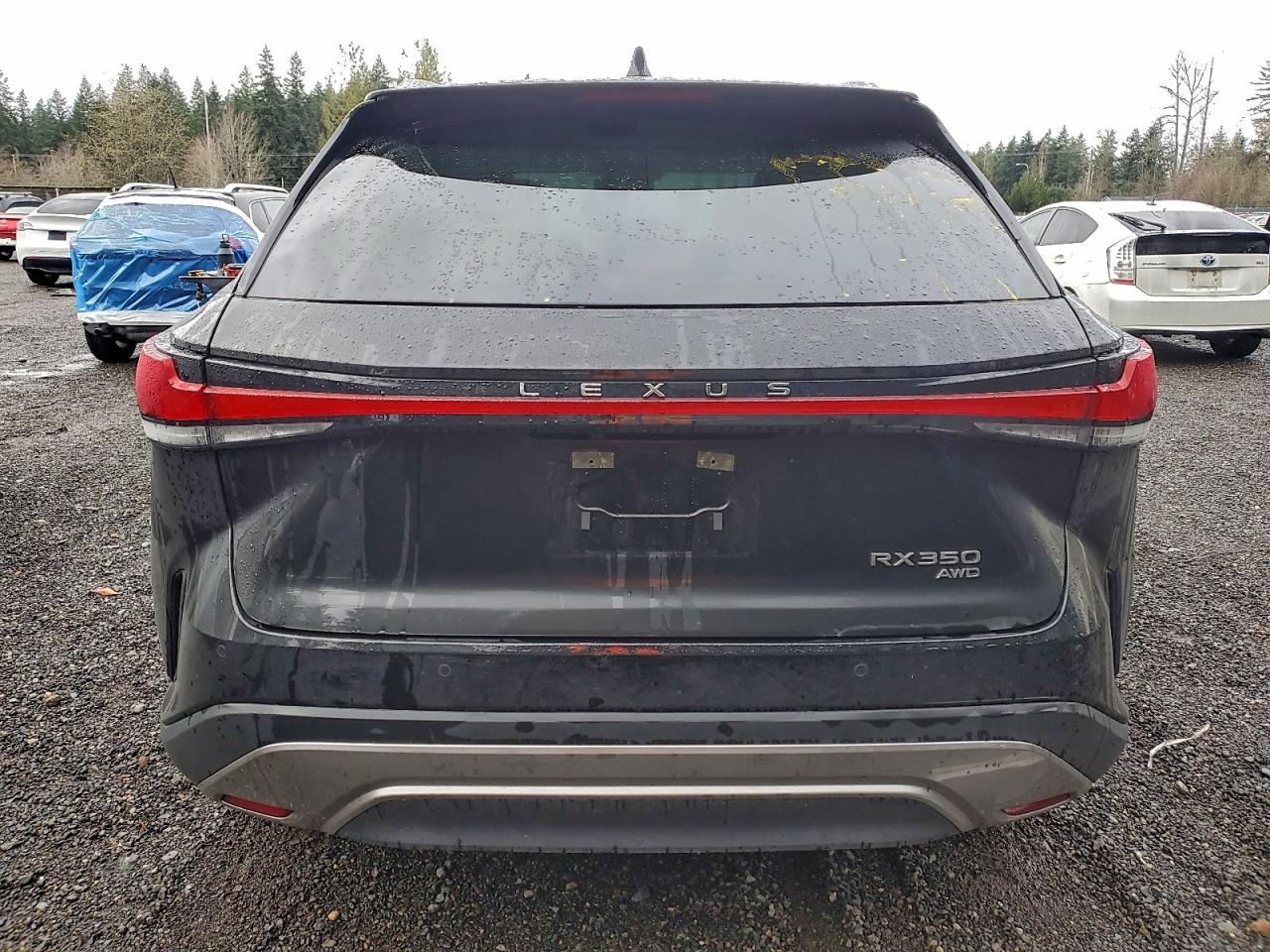2025 LEXUS RX 350 BASE photo 6