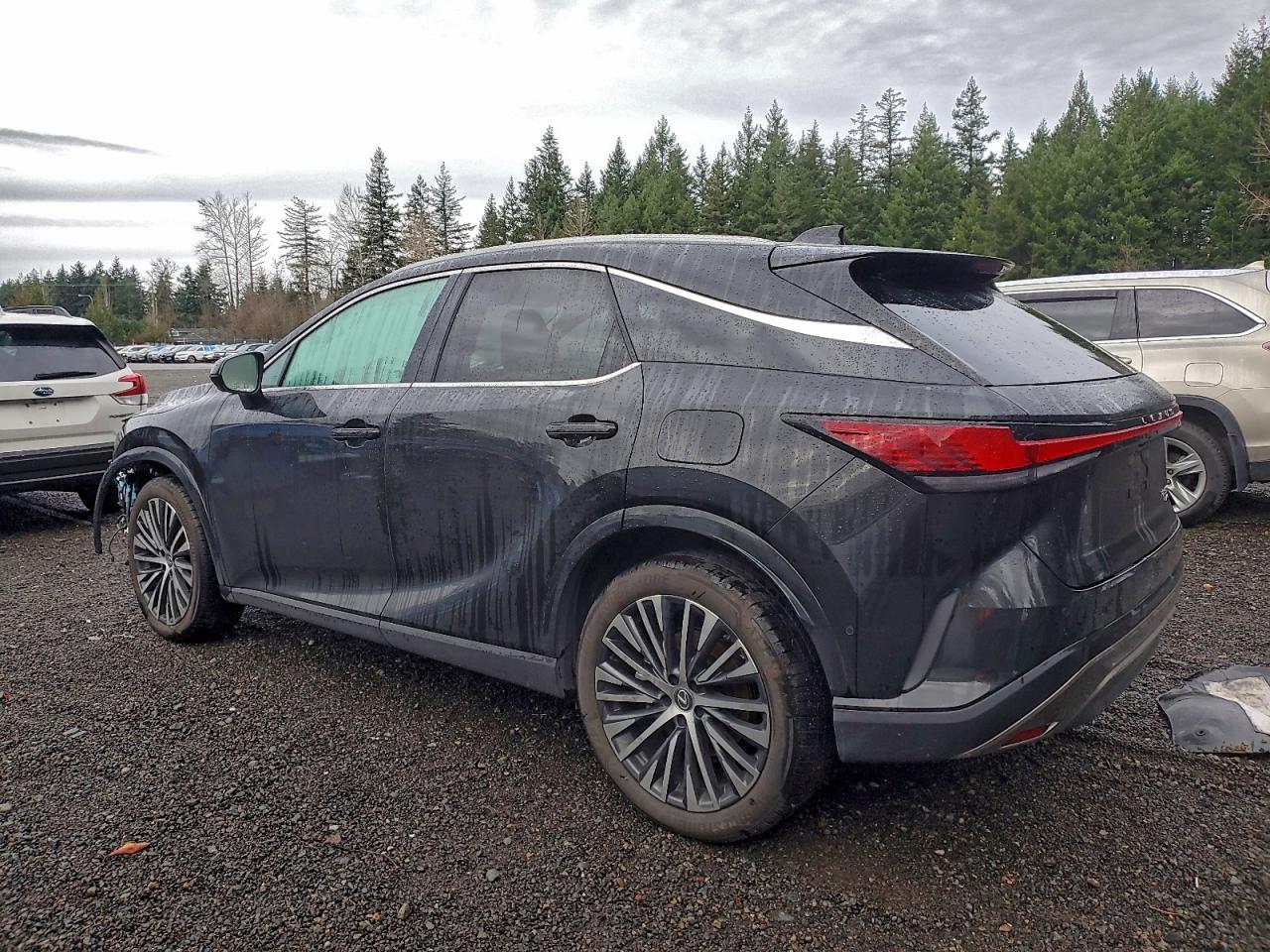 2025 LEXUS RX 350 BASE photo 2