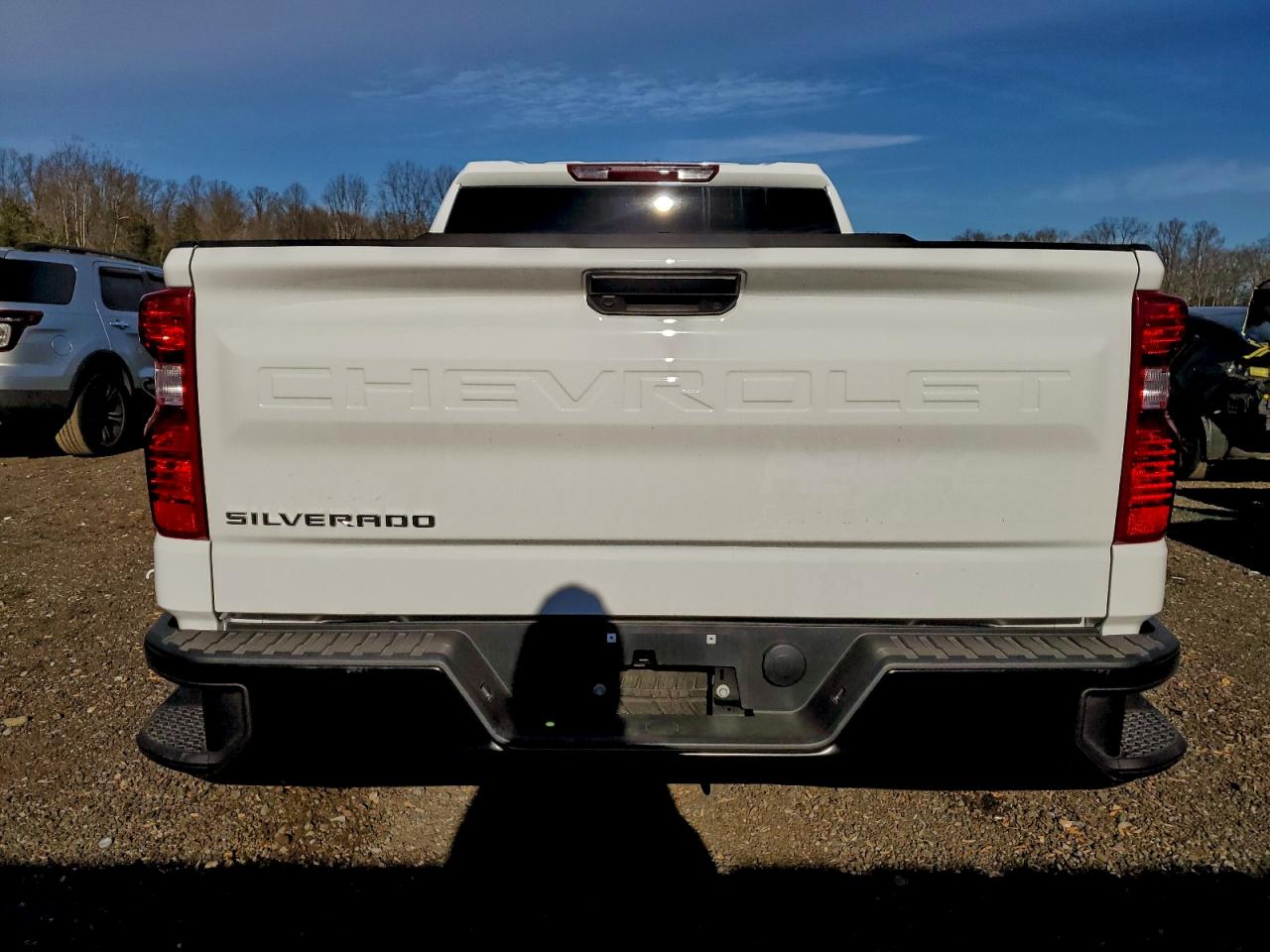 2025 CHEVROLET SILVERADO C1500 photo 6