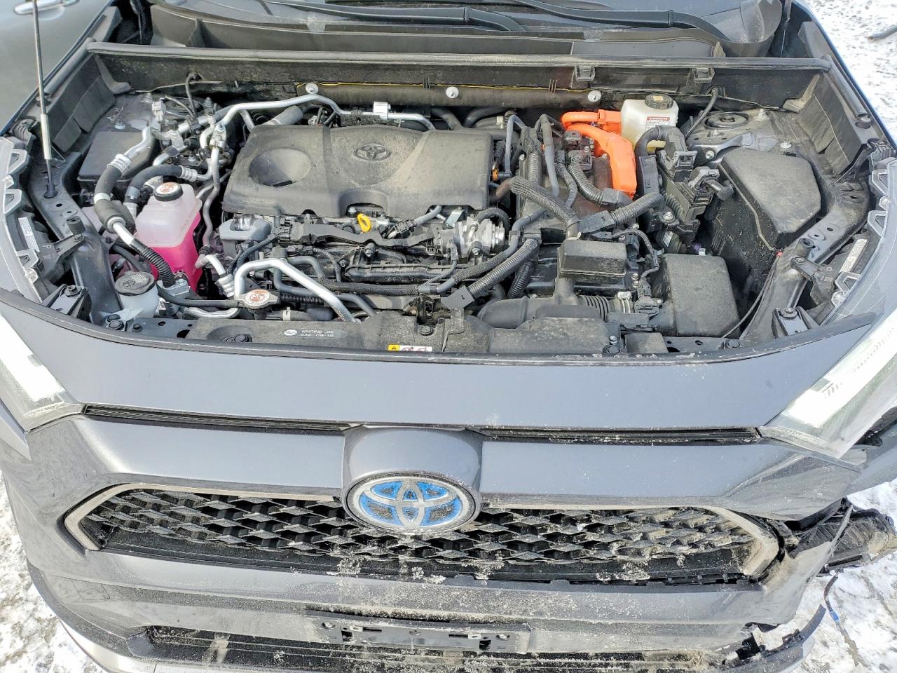 2024 TOYOTA RAV4 PRIME SE photo 12