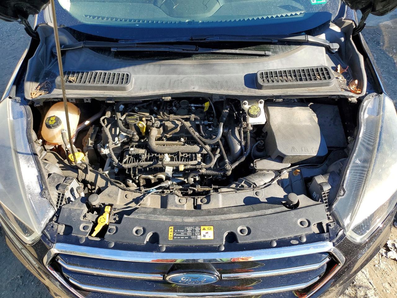 2019 FORD ESCAPE SE photo 12