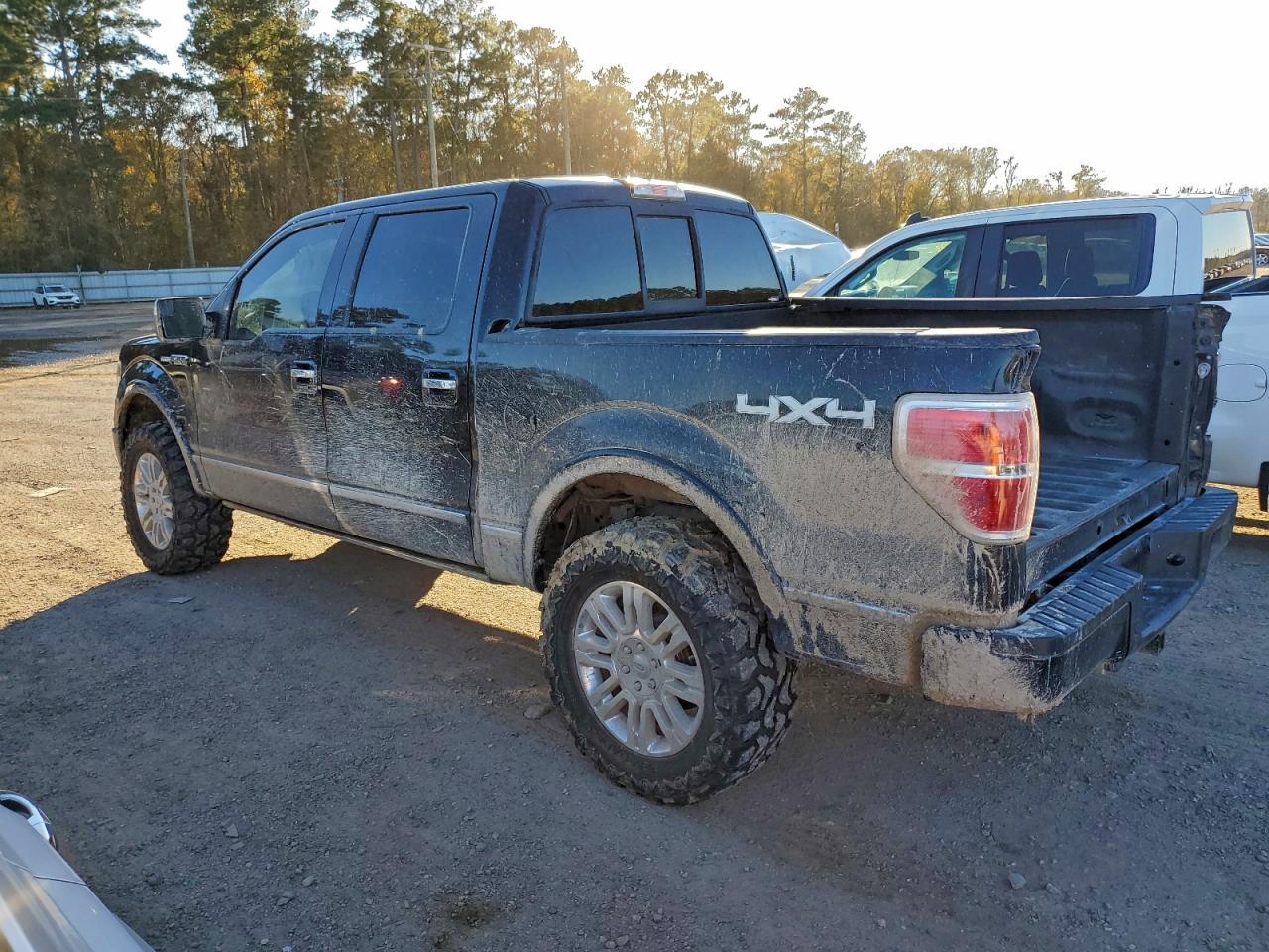 2014 FORD F150 SUPERCREW photo 3