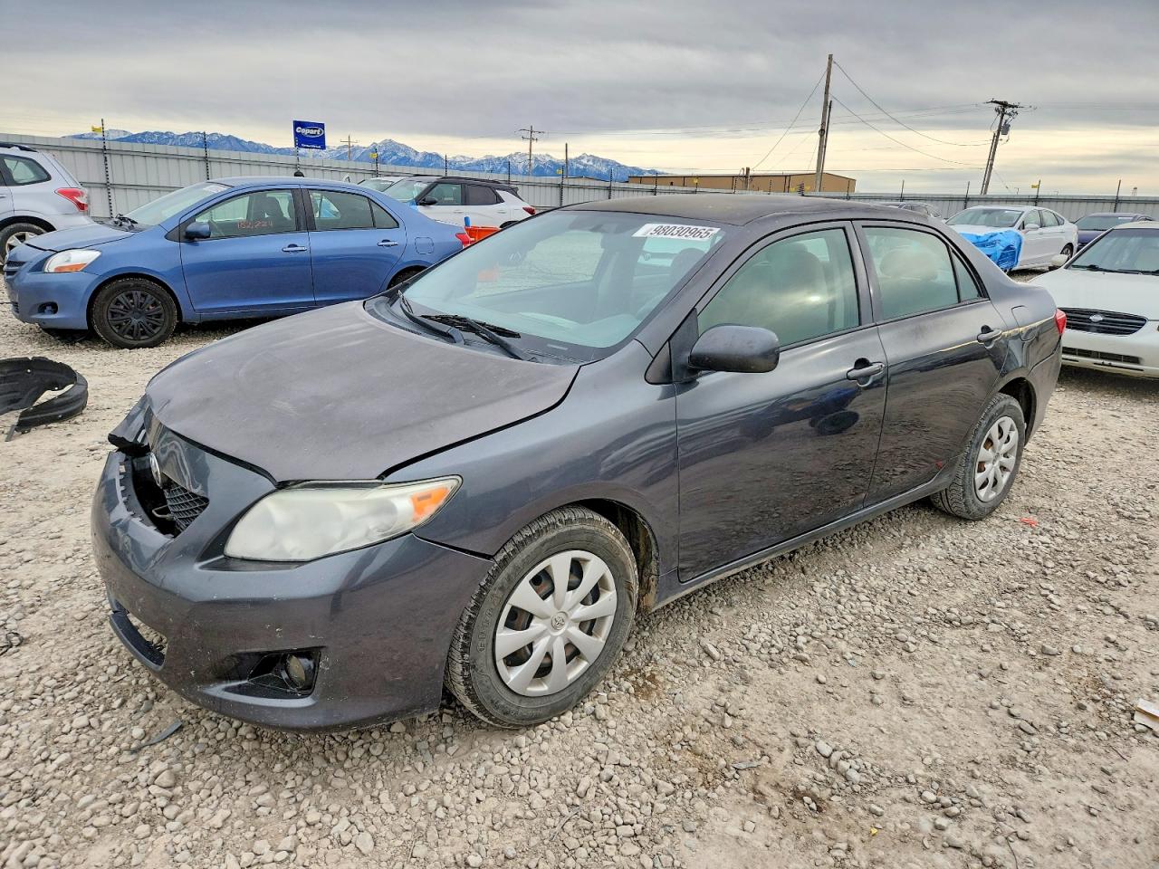 2009 TOYOTA COROLLA
