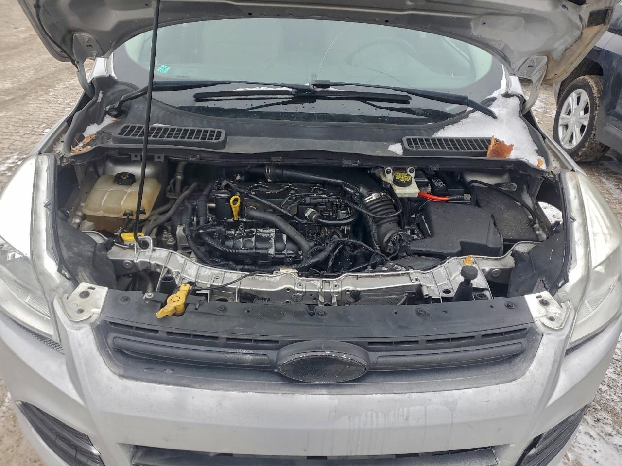 2015 FORD ESCAPE SE photo 12