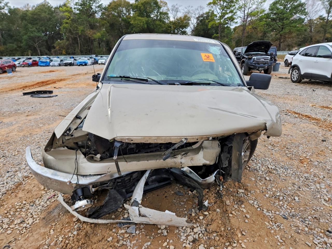 2008 FORD F150 photo 5