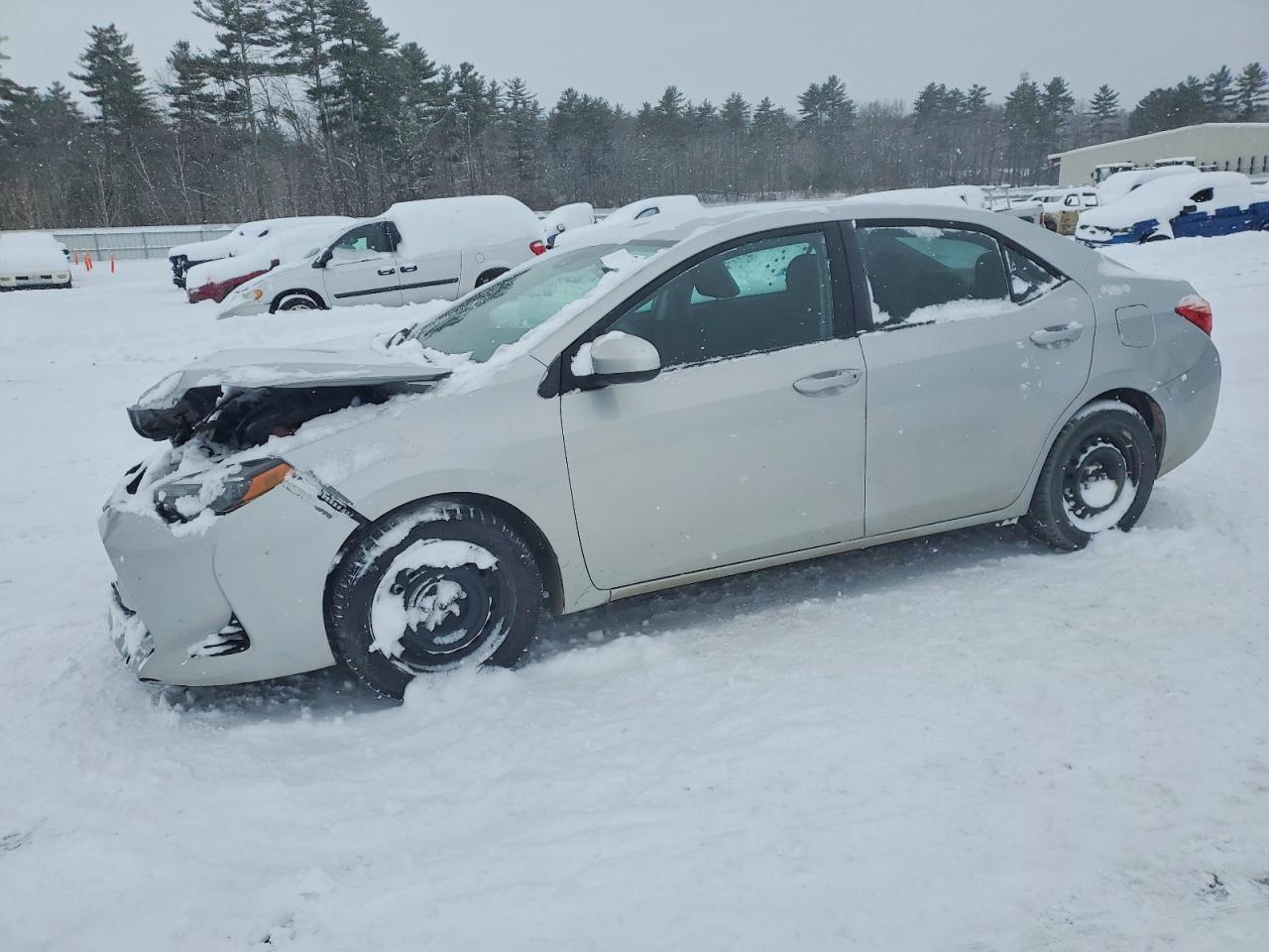 2019 TOYOTA COROLLA