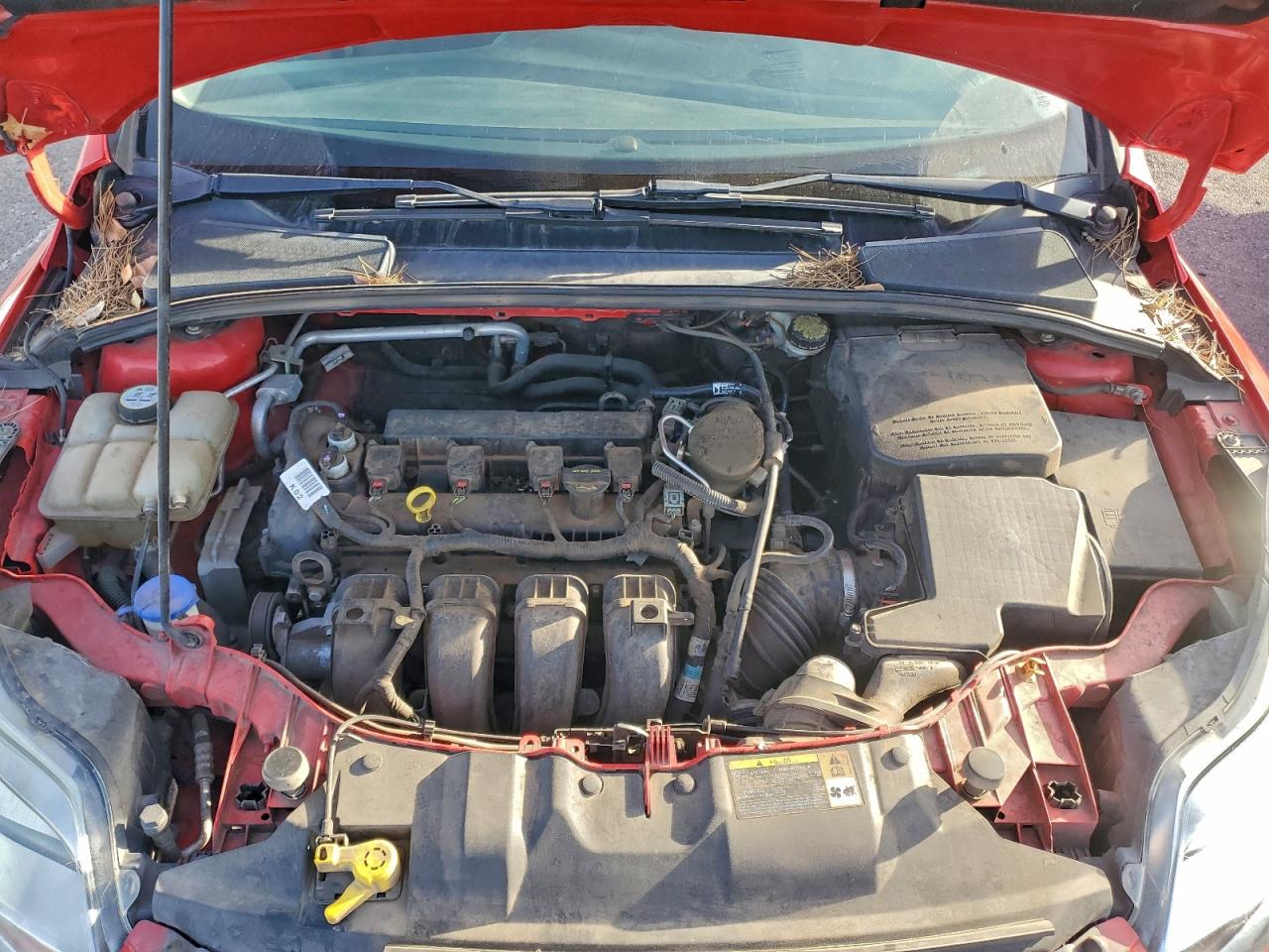 2013 FORD FOCUS SE photo 11