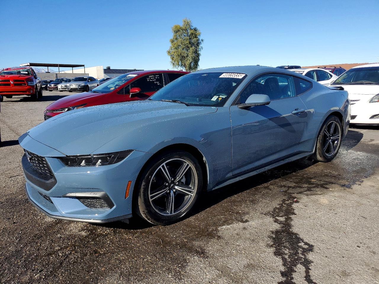 2025 FORD MUSTANG