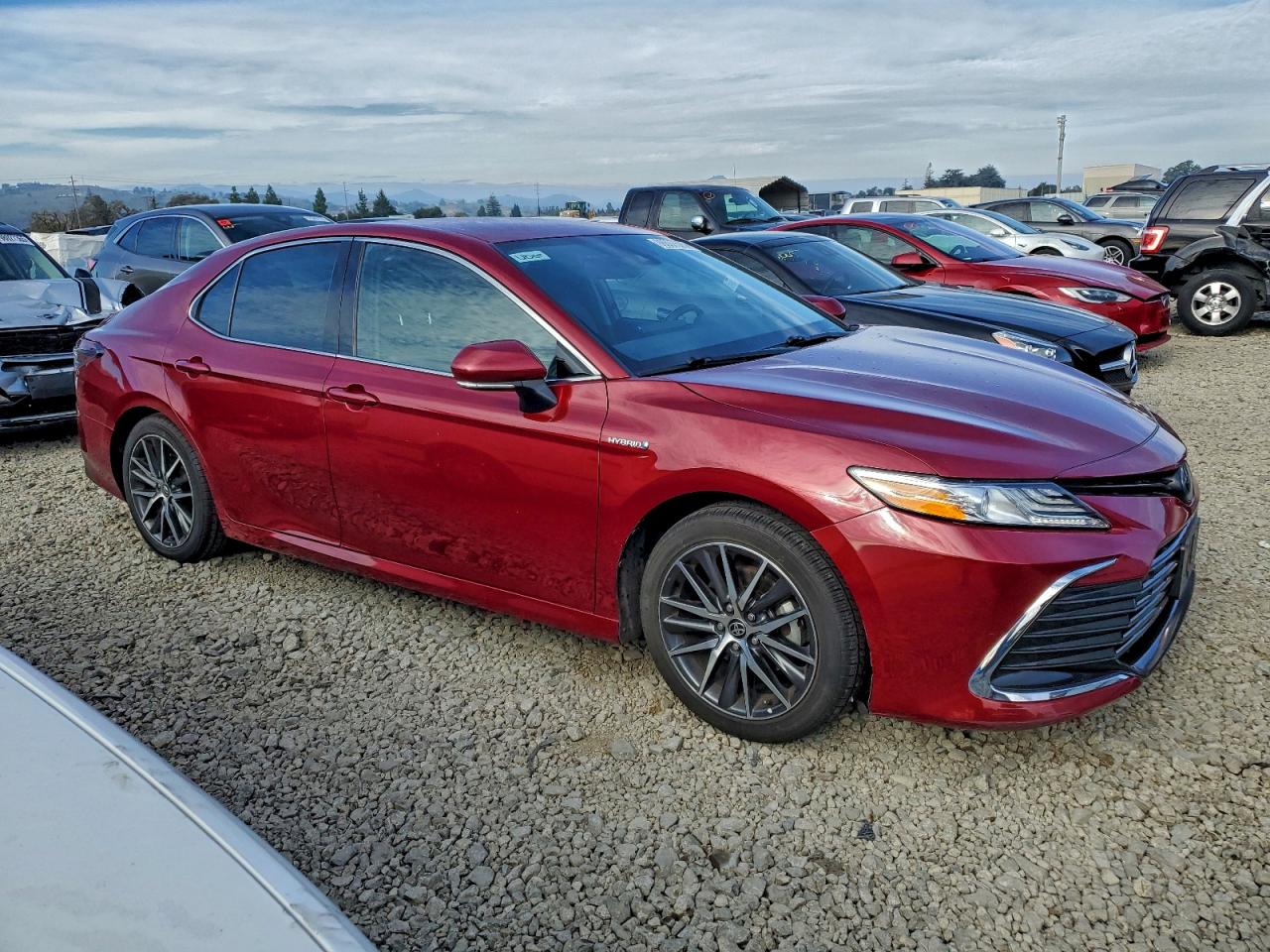 2021 TOYOTA CAMRY XLE photo 4