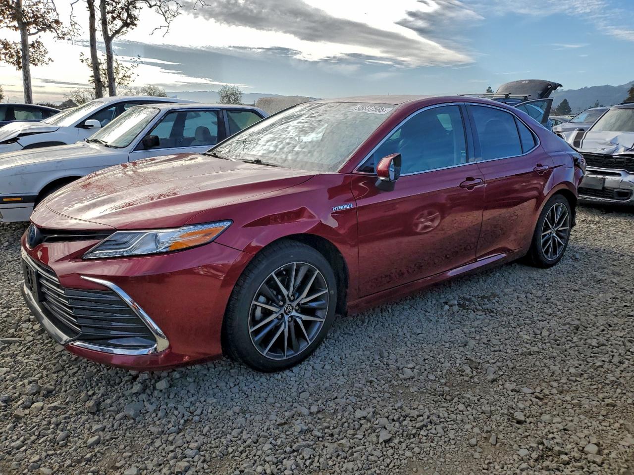 2021 TOYOTA CAMRY