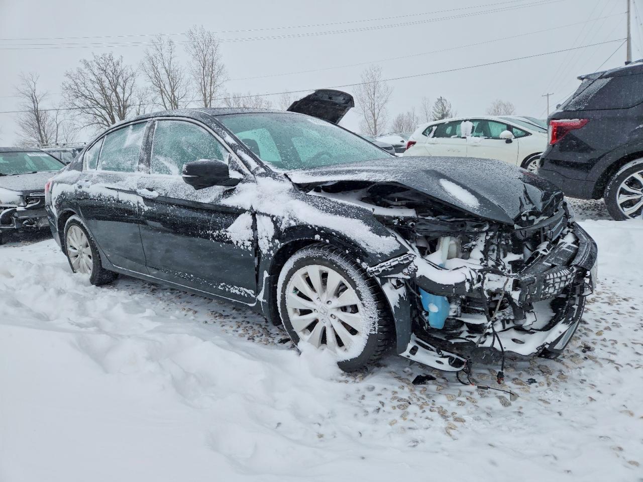 2014 HONDA ACCORD EXL photo 4