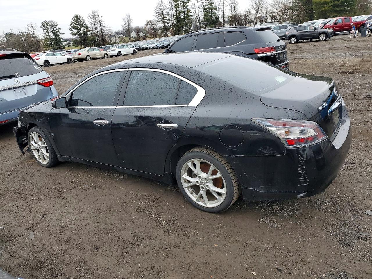 2013 NISSAN MAXIMA S photo 3